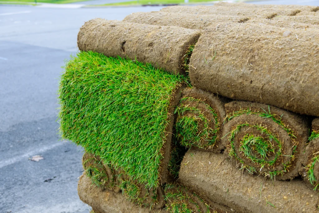 Wielkopowierzchniowy montaż trawy inwestycyjnej na nowym osiedlu mieszkaniowym